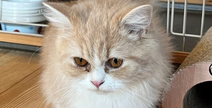 血の混じった鼻くそを防ぐ方法